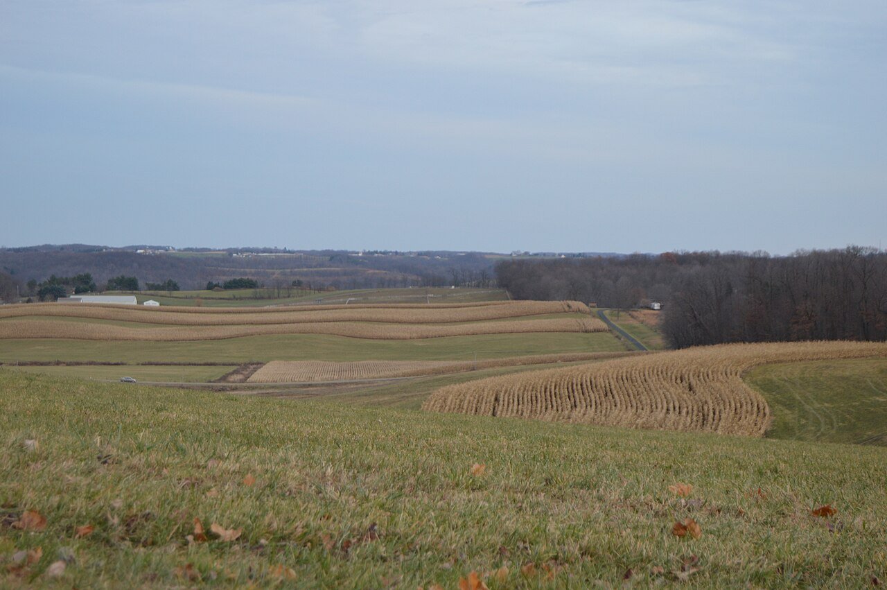 Daugherty