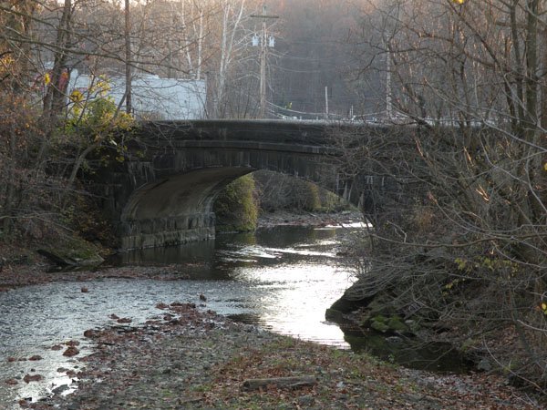 Shaler