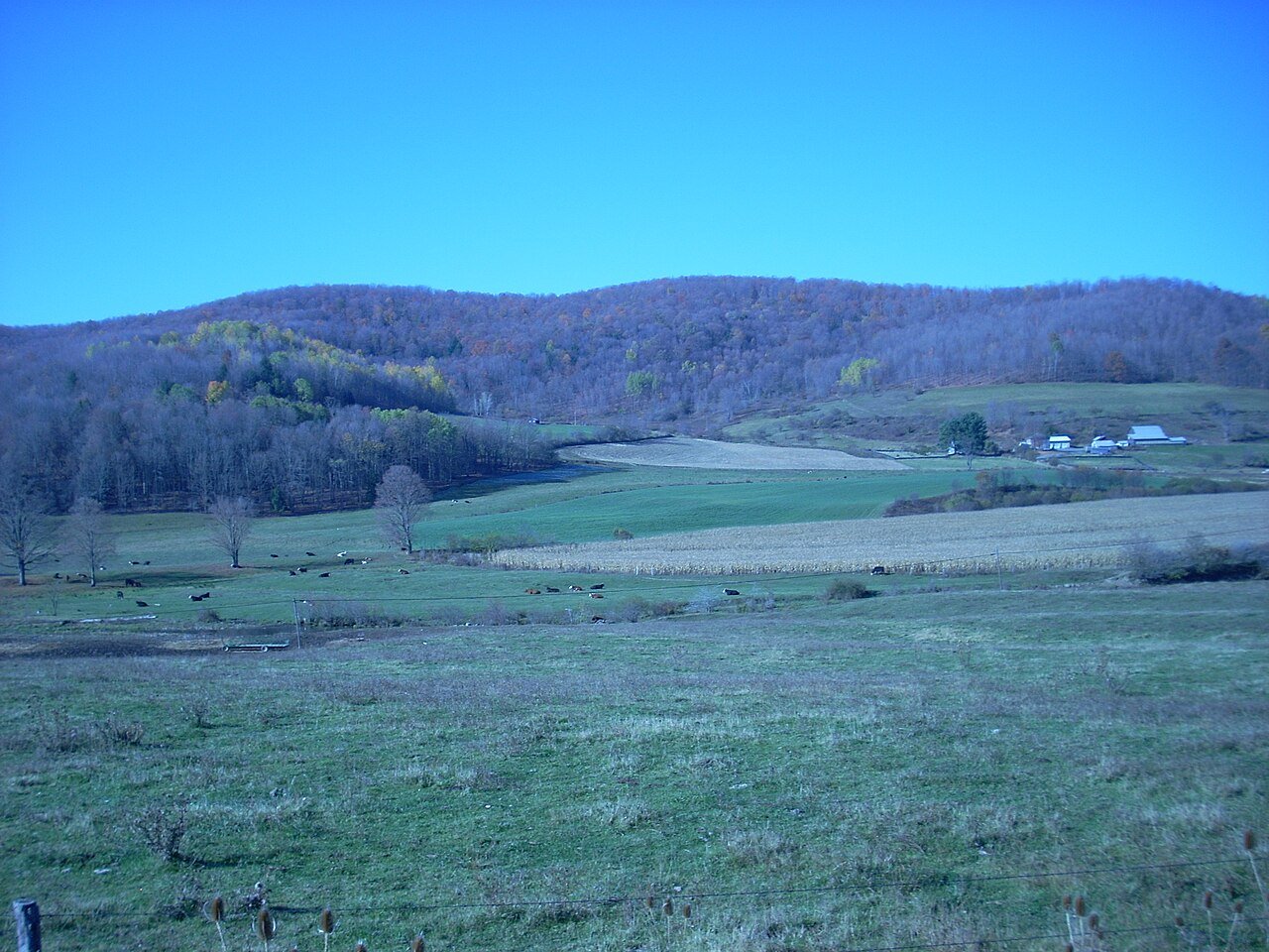 Brookfield