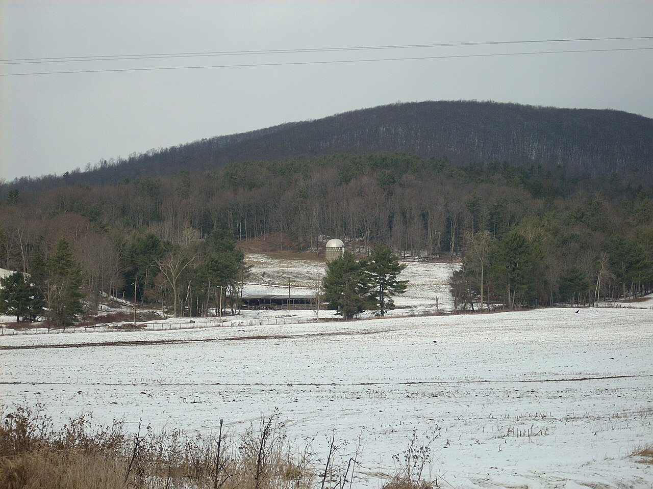 Deerfield