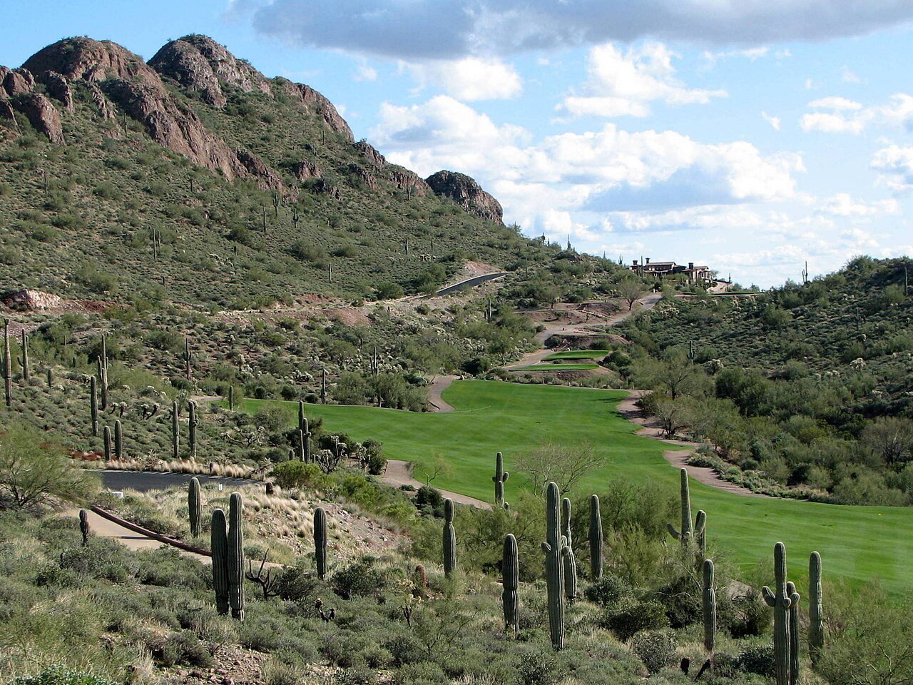 Gold Canyon