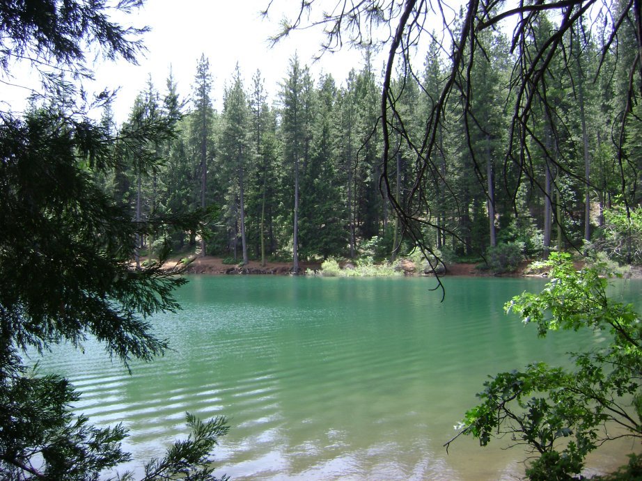 Pollock Pines