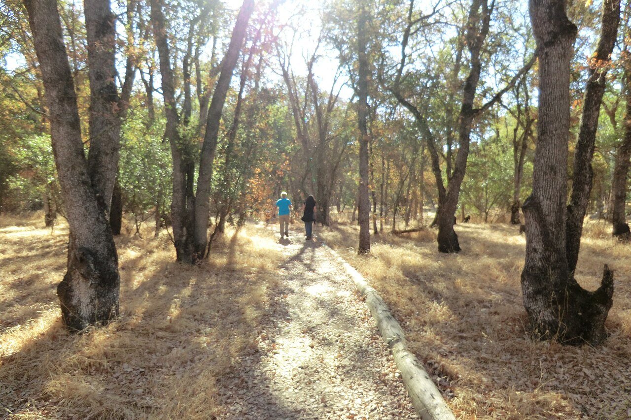 Orangevale