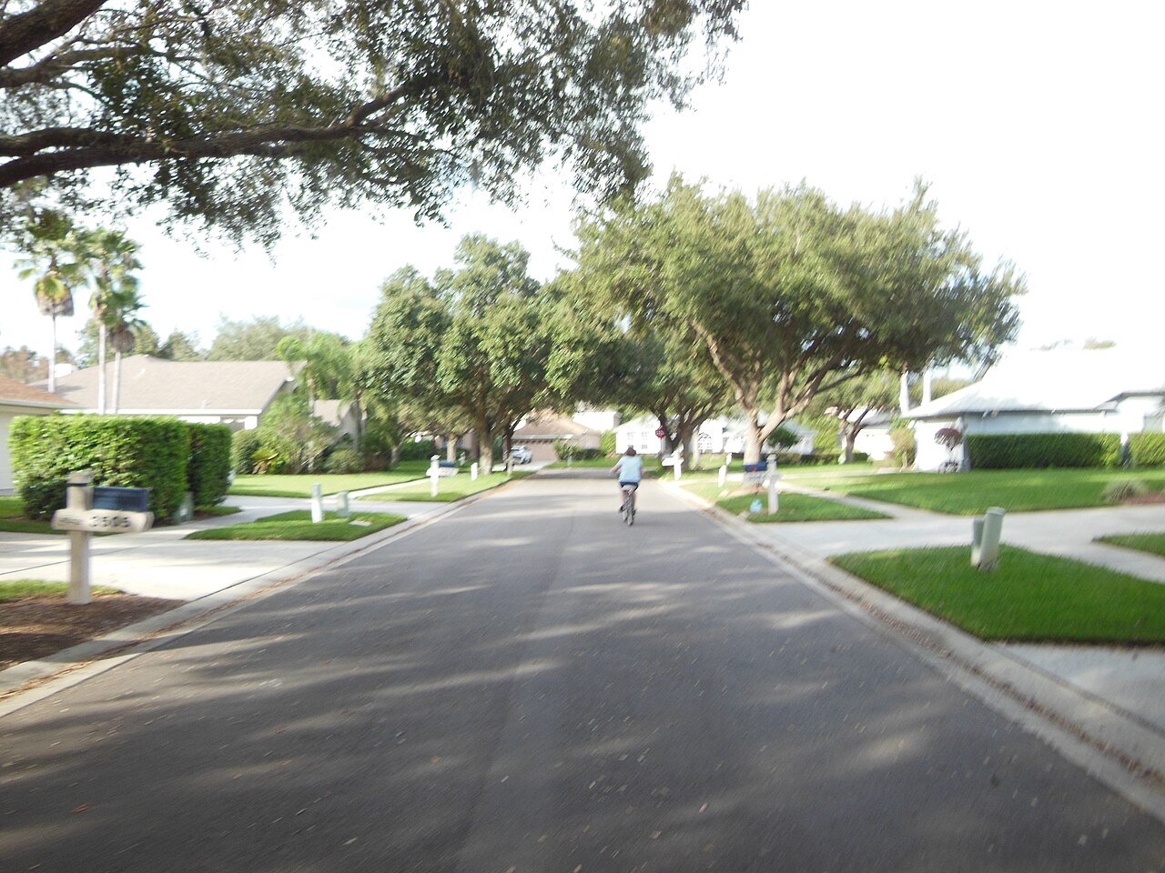 Valrico