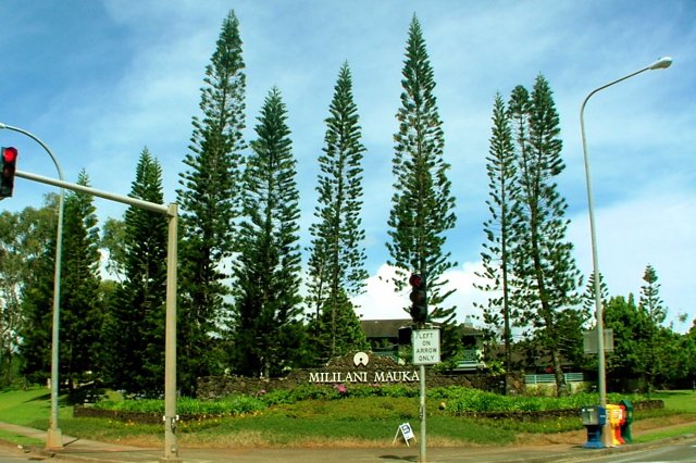 Mililani Mauka