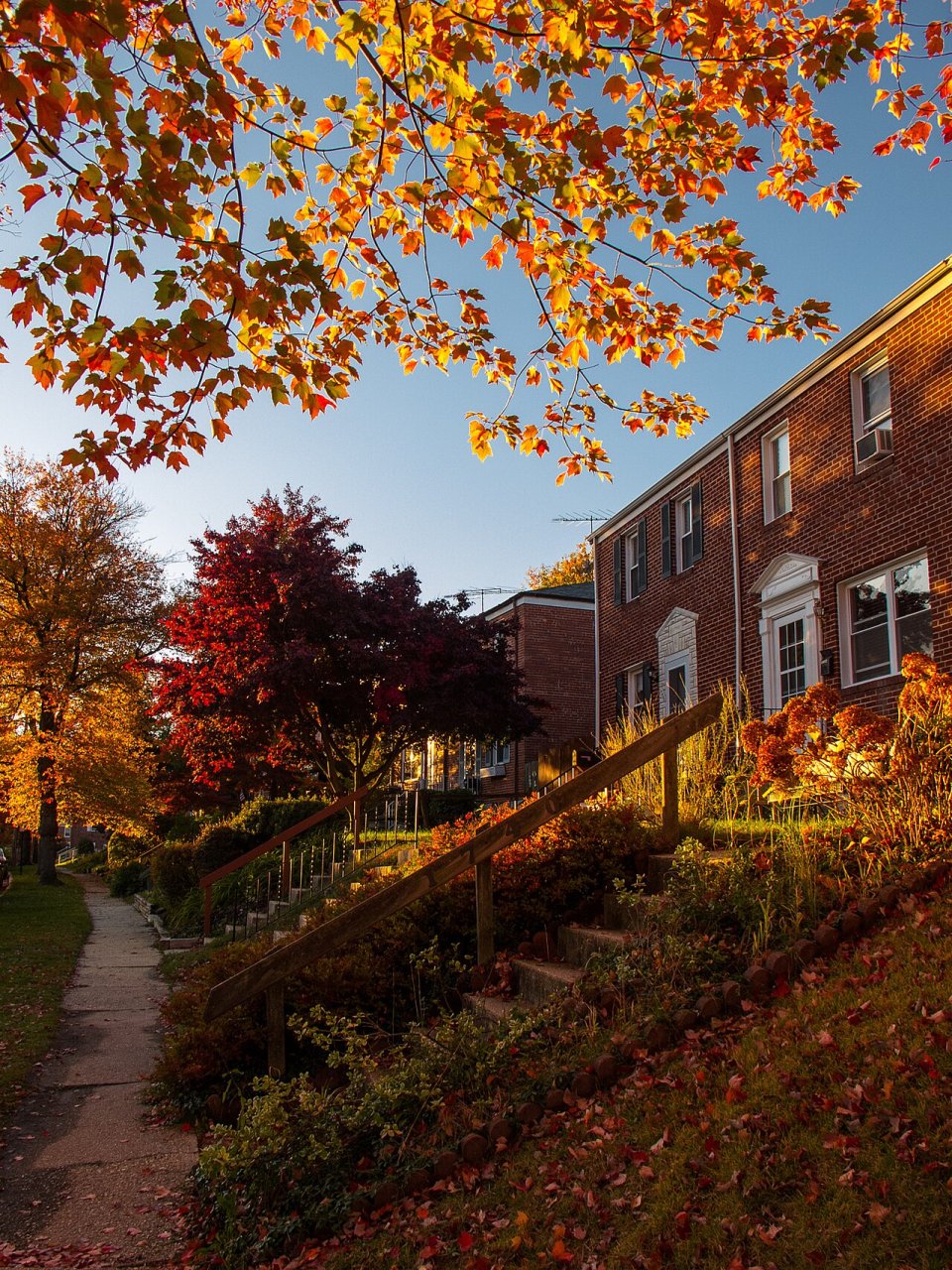 Parkville
