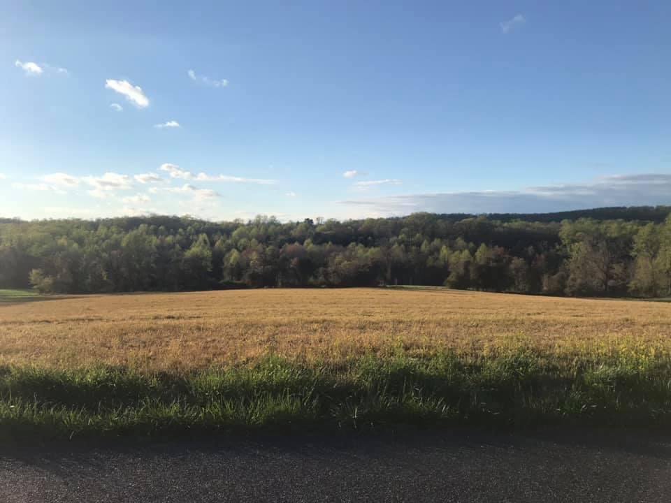 Jarrettsville