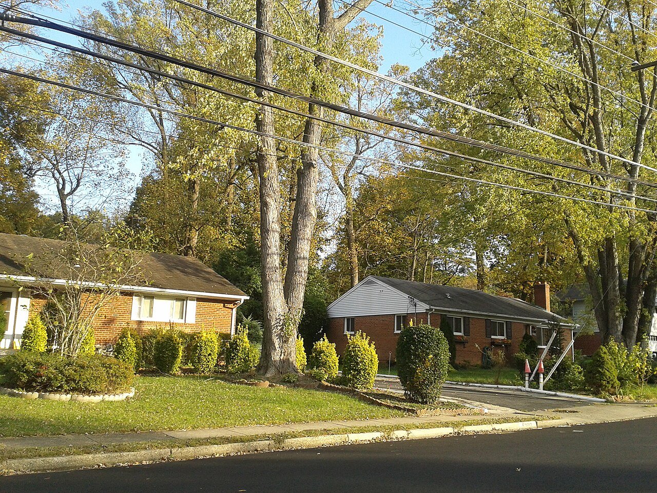 North Springfield