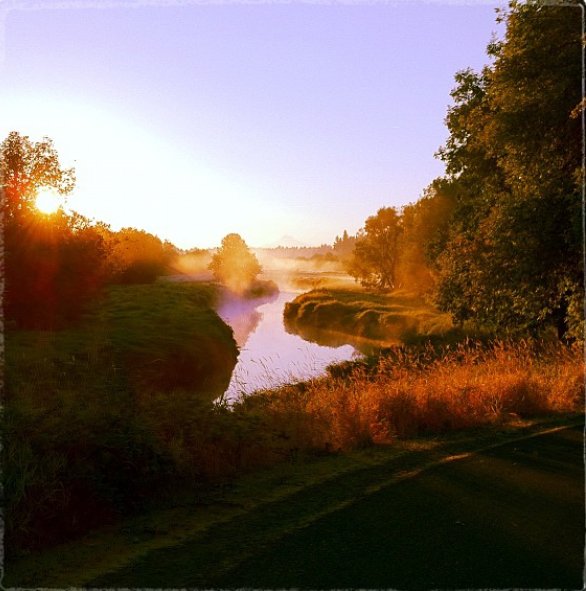 Salmon Creek