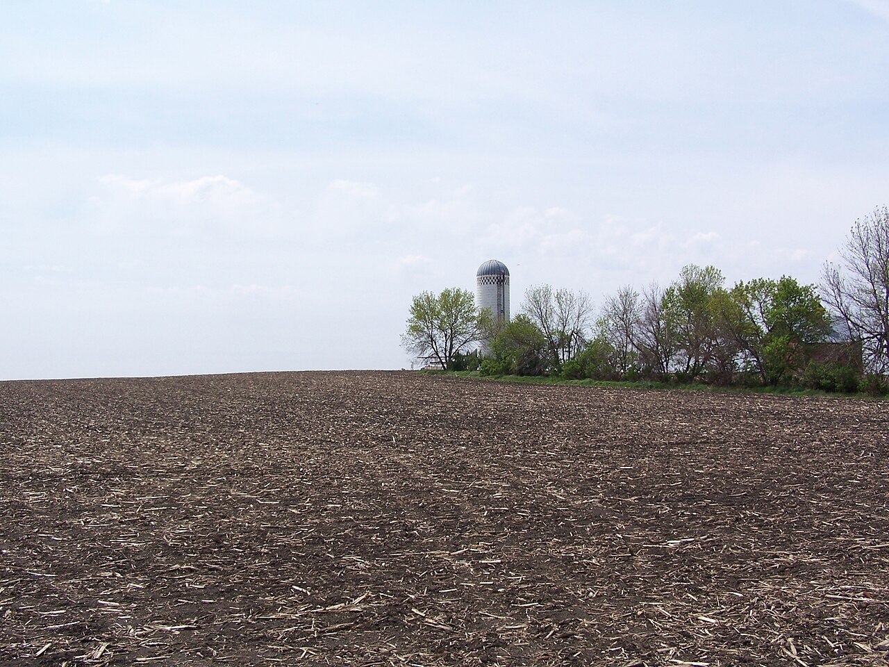 Sibley