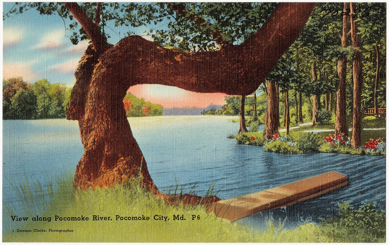 Pocomoke City