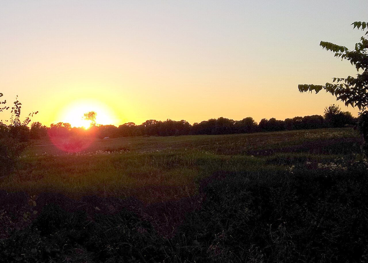 Lake Elmo
