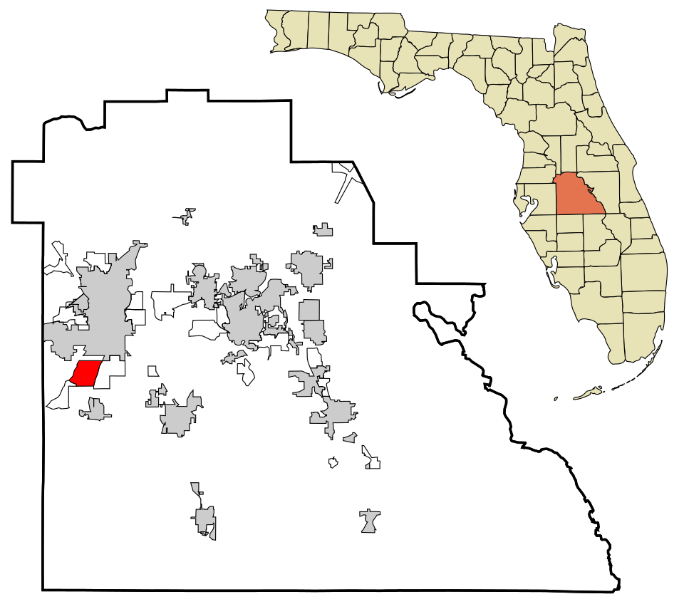 Map of Medulla
