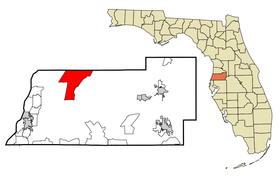 Locator map of Shady Hills
