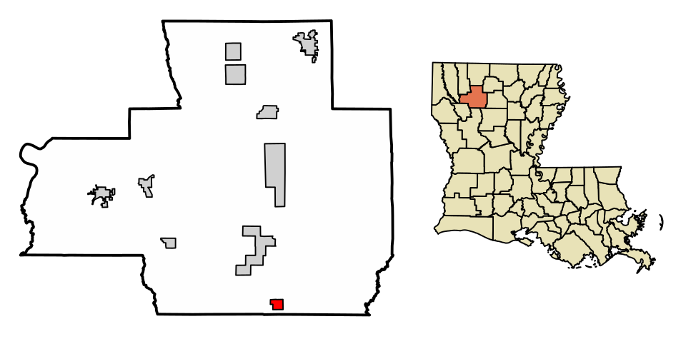 Locator map of Saline